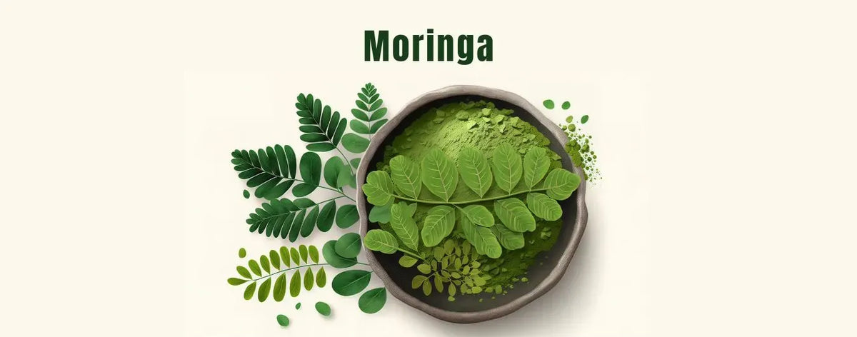 Moringa