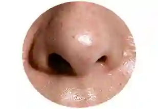 Greasy skin care products