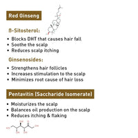 Korean Red Ginseng Hair Growth Mask – Blocks DHT with Day Moist CLR, Argan Oil & Vitamin E for Deep Moisturizing & Conditioning, Keratin Repair