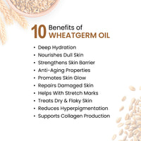 Wheatgerm Body Oil - Protecting, Deep Moisturizing, Repairing, Nourishing; Non-Sticky, Quick-Absorbing - Keya Seth Aromatherapy