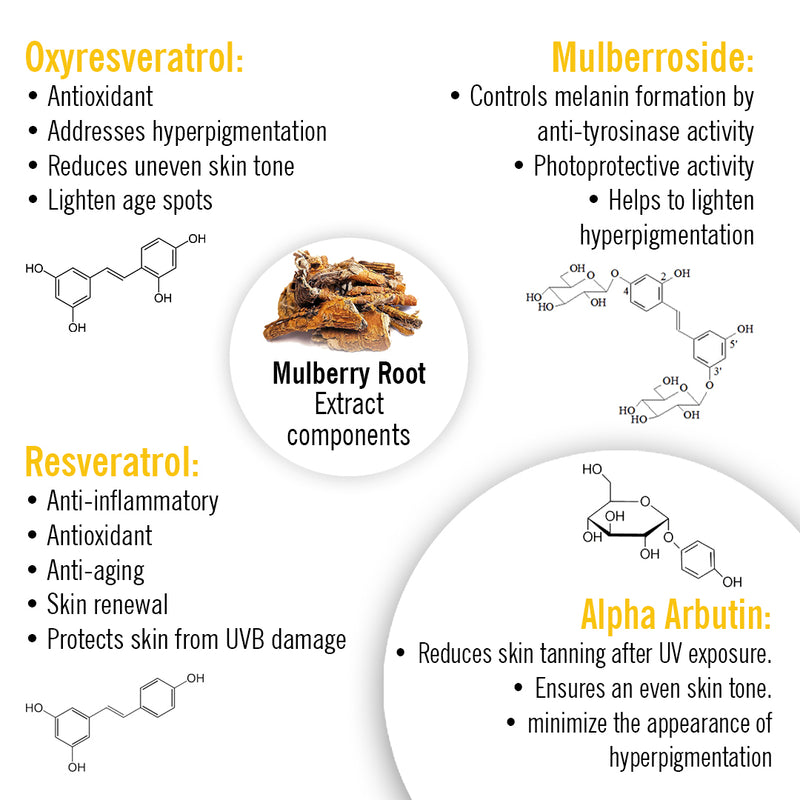 Skin Lightening Face Serum, Daisy Flower + Alpha Arbutin + Mulberry Root, Brightening & Glowing, Hyperpigmentation, Melanogenesis, with Hyaluronic Acid