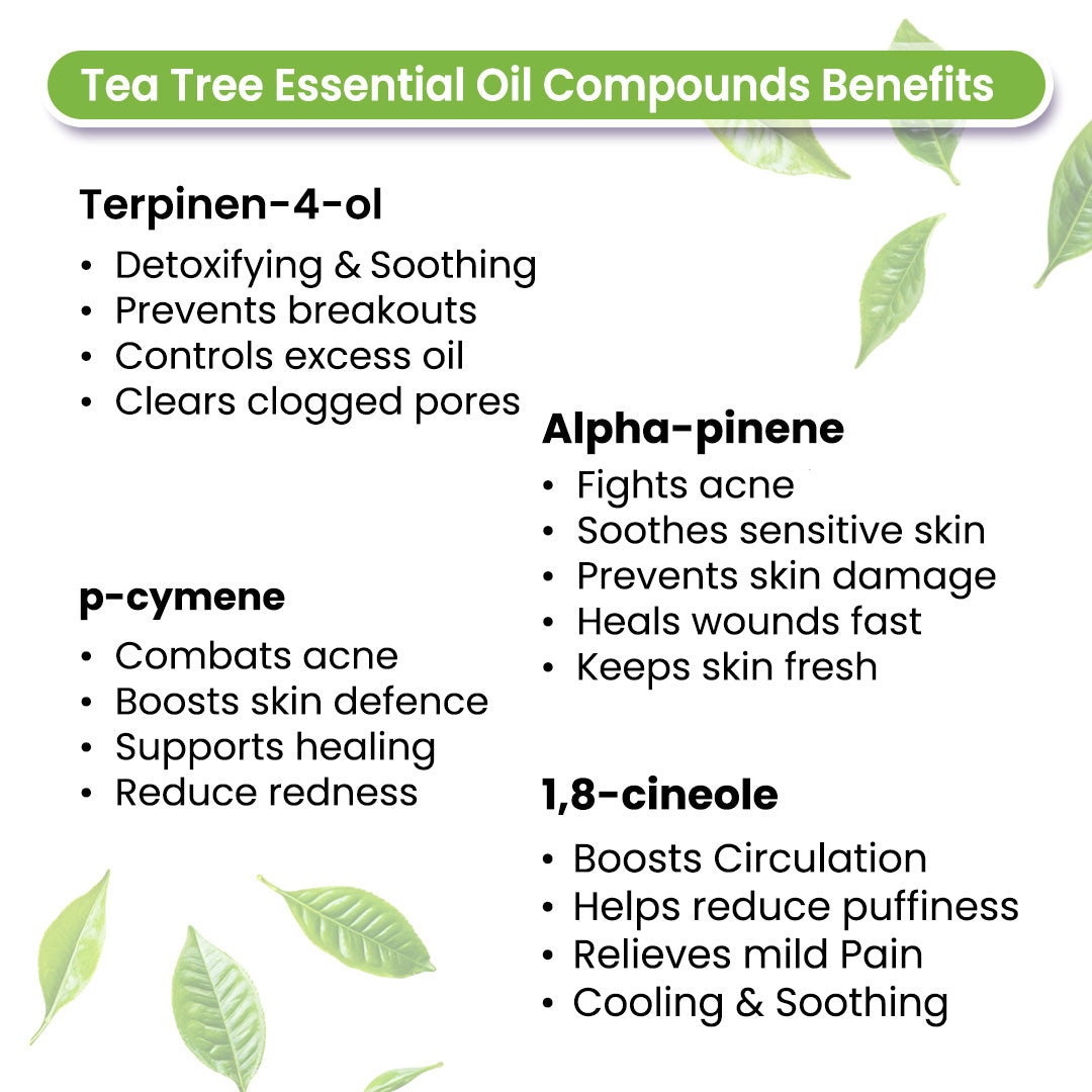 Tea Tree Body Oil - Moisturising, Anti Acne, Cleansing, Soothing & Purifies Skin; Non-Sticky, Quick-Absorbing