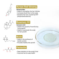 Complete Treatment Kit For Acute Hair Fall - Absolute Solution, Scalp Care, Alopex shampoo, Blocks hair fall & Fights Dandruff & Itchiness, New Hair Growth - Keya Seth Aromatherapy