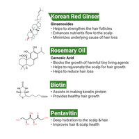 Complete Treatment Kit For Acute Hair Fall - Absolute Solution, Scalp Care, Alopex shampoo, Blocks hair fall & Fights Dandruff & Itchiness, New Hair Growth - Keya Seth Aromatherapy