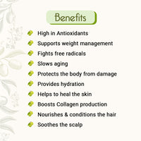 Cold Pressed Pure Olive Oil for Face, Body & Cooking Rich in Vitamin E & K - Keya Seth Aromatherapy