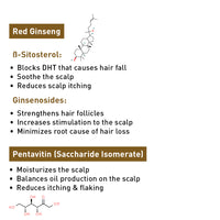 Korean Red Ginseng Hair Growth Combo Kit – Shampoo & Serum, Blocks DHT, Hydrates & Nourishes Hair & Scalp, Pentavitin, Caffeine, Vitamin B5, Promotes Hair Growth & Scalp Health - Keya Seth Aromatherapy