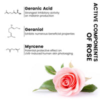 Multani Mitti Face Pack & Rose Toner Combo, Brightening, Hydrating, Anti-Ageing, Anti Acne For All Type Of Skin, Alcohol-Free - Keya Seth Aromatherapy