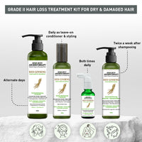 Korean Red Ginseng Hair Growth Combo Kit – Shampoo & Serum, Blocks DHT, Hydrates & Nourishes Hair & Scalp, Pentavitin, Caffeine, Vitamin B5, Promotes Hair Growth & Scalp Health - Keya Seth Aromatherapy