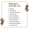 Jojoba Oil for Face, Body & Hair – Moisturizing, Anti-Aging, Breakout & Sunburn Care, Hair Growth with Flavonoids, Vitamin A & E - Keya Seth Aromatherapy