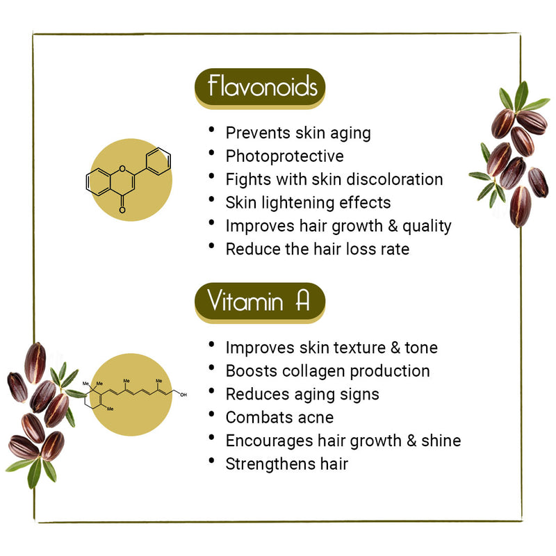 Jojoba Oil for Face, Body & Hair – Moisturizing, Anti-Aging, Breakout & Sunburn Care, Hair Growth with Flavonoids, Vitamin A & E - Keya Seth Aromatherapy