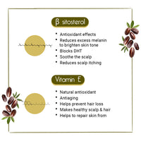 Jojoba Oil for Face, Body & Hair – Moisturizing, Anti-Aging, Breakout & Sunburn Care, Hair Growth with Flavonoids, Vitamin A & E - Keya Seth Aromatherapy