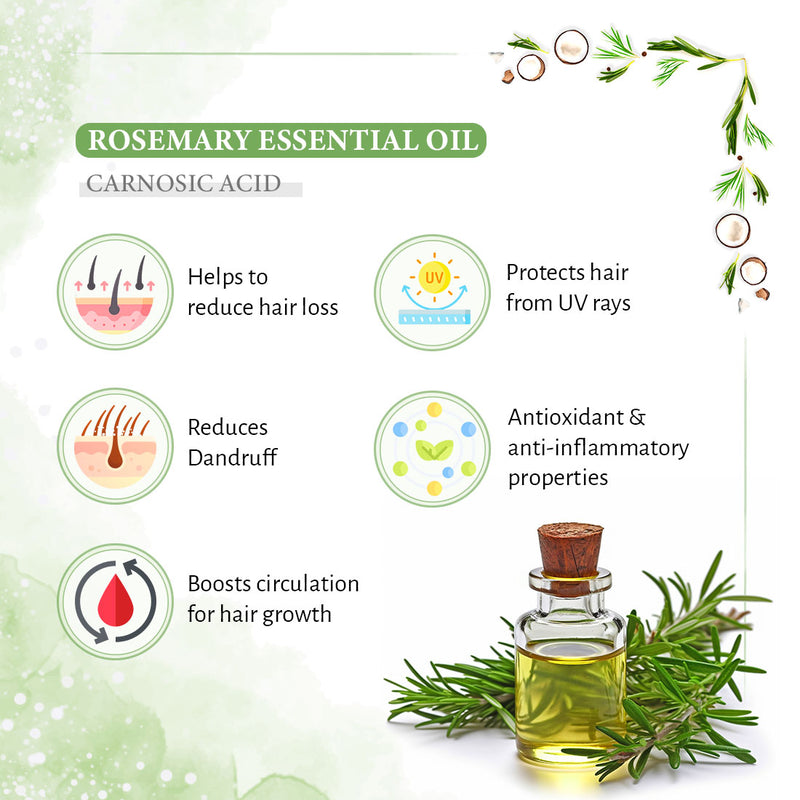 Rosemary Tea Tree Coconut Shampoo, Hair Growth Reduces Dandruff Oiliness Itching, Natural Coconut Derived Foaming + Hair Conditioner