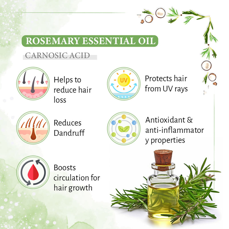 Rosemary Tea Tree Coconut Hair Oil, Hair Growth Anti Dandruff & Itching Nourishment & Moisturizer, Distilled Essential Oil