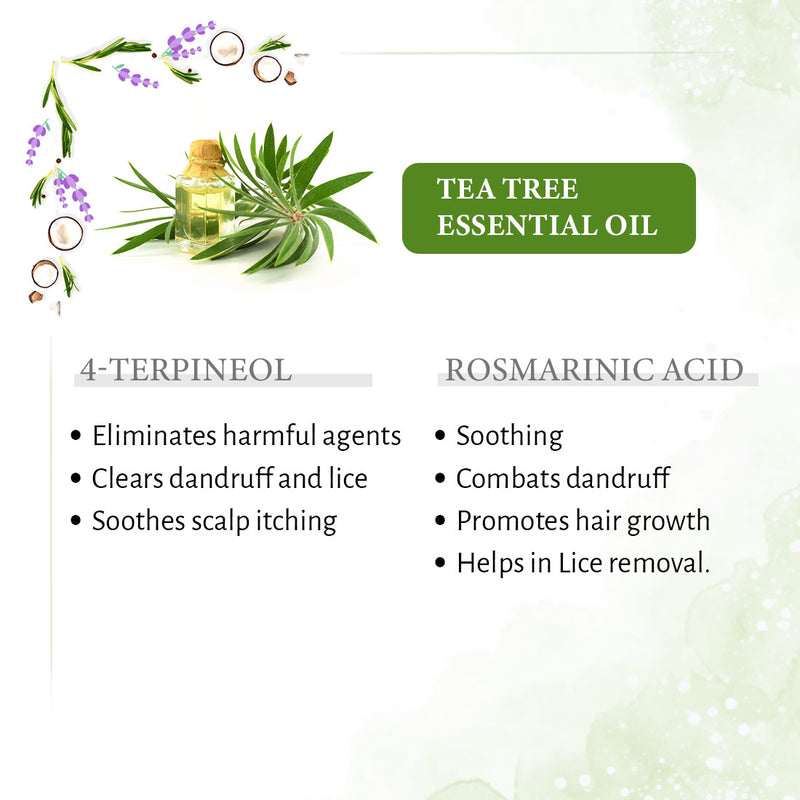 1% Tea Tree & 99% Coconut Oil – Cold Pressed, Promotes Hair Growth, Controls Hair Fall, Dandruff & Lice, Soothes Itching - Keya Seth Aromatherapy