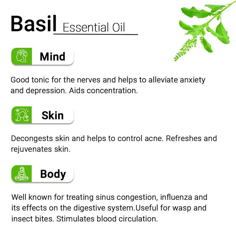 Basil Essential Oil, Therapeutic, Pure & Natural, Holy Basil (Tulsi) Spiritual Concentration, Headache, Digestive & Antiseptic 10ml - Keya Seth Aromatherapy