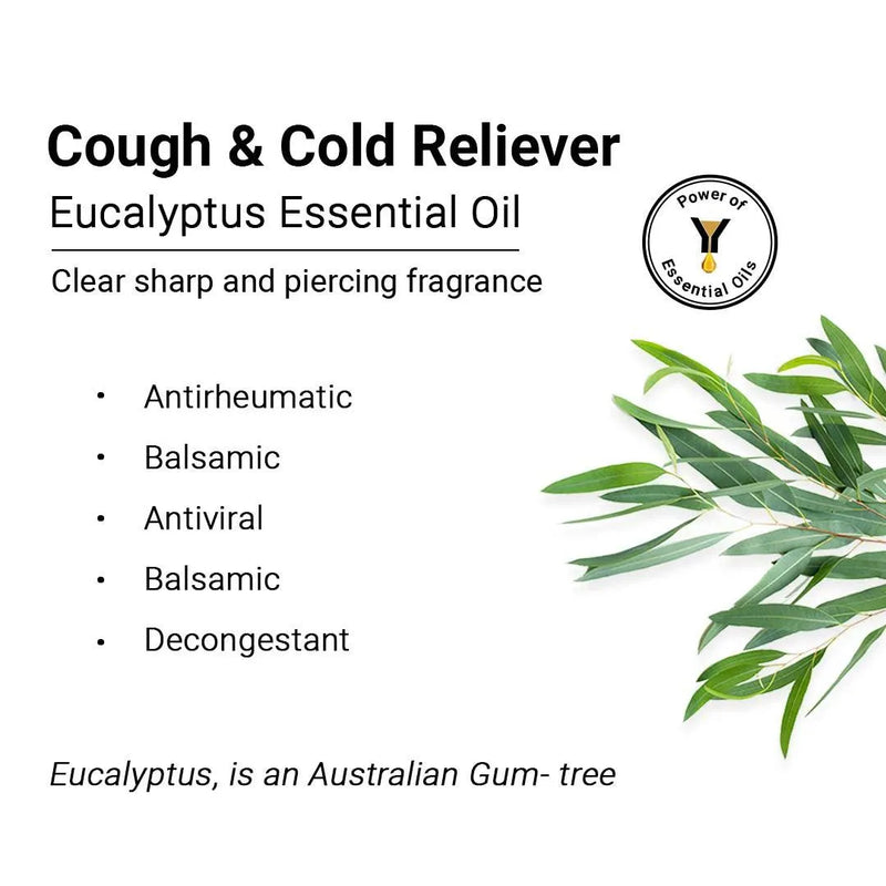 Eucalyptus Essential Oil, Therapeutic, Pure & Natural, Headache, Sinus, Nasal Congestion, Cold & Cough, Antiseptic & Insecticide 10ml - Keya Seth Aromatherapy