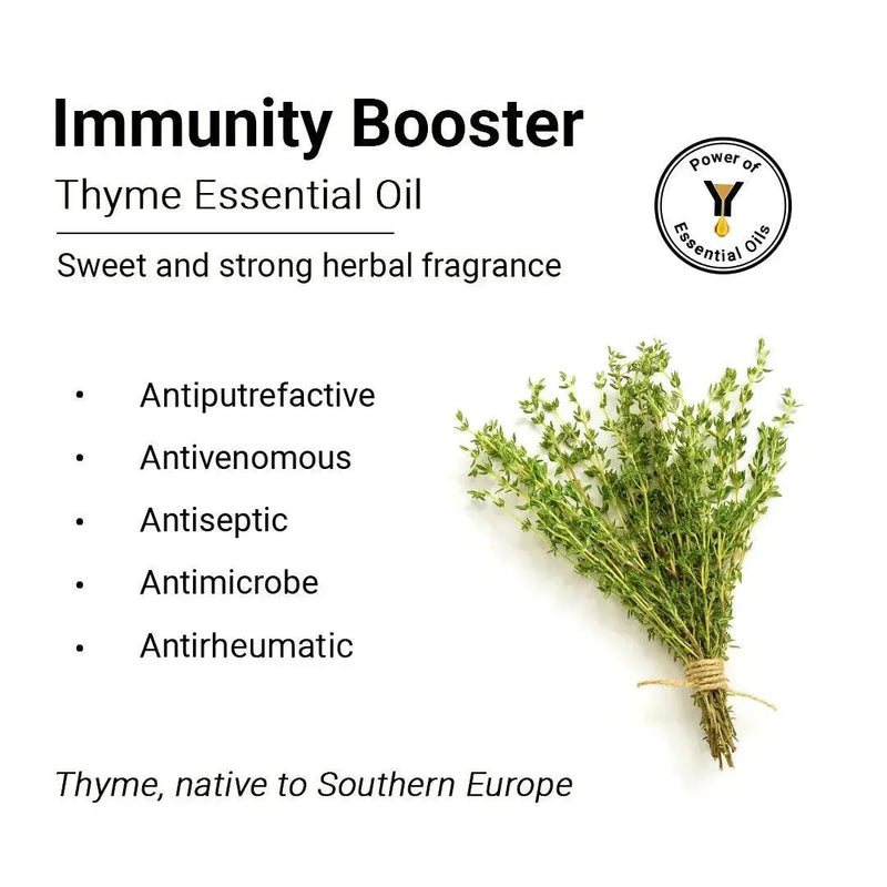 Thyme Essential Oil, Therapeutic Pure & Natural, Antimicrobe, Antiseptic, Immunity Booster, Digestive 10ml - Keya Seth Aromatherapy