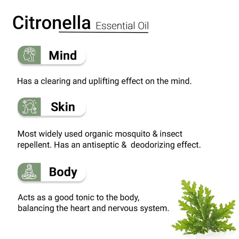 Citronella Essential Oil, Therapeutic, Pure & Natural, Insect & Mosquito Repellent, Antiseptic, Mood Up lifter 10ml - Keya Seth Aromatherapy