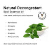 Basil Essential Oil, Therapeutic, Pure & Natural, Holy Basil (Tulsi) Spiritual Concentration, Headache, Digestive & Antiseptic 10ml - Keya Seth Aromatherapy